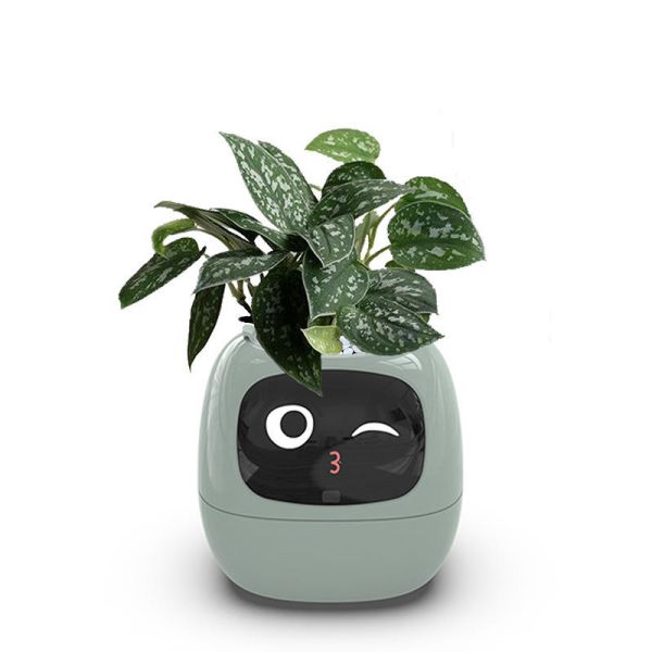 Smart AI Planter Flowerpot | الأصيص الذكي المزود بالذكاء الاصطناعي